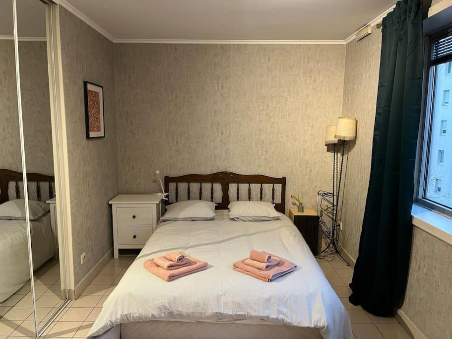 Le Clos Du Chateau Rouge 3* Avec Parking Securise Annemasse Ngoại thất bức ảnh